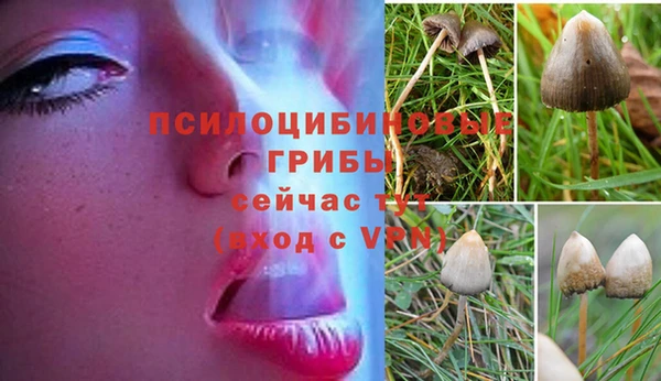 спиды Балабаново